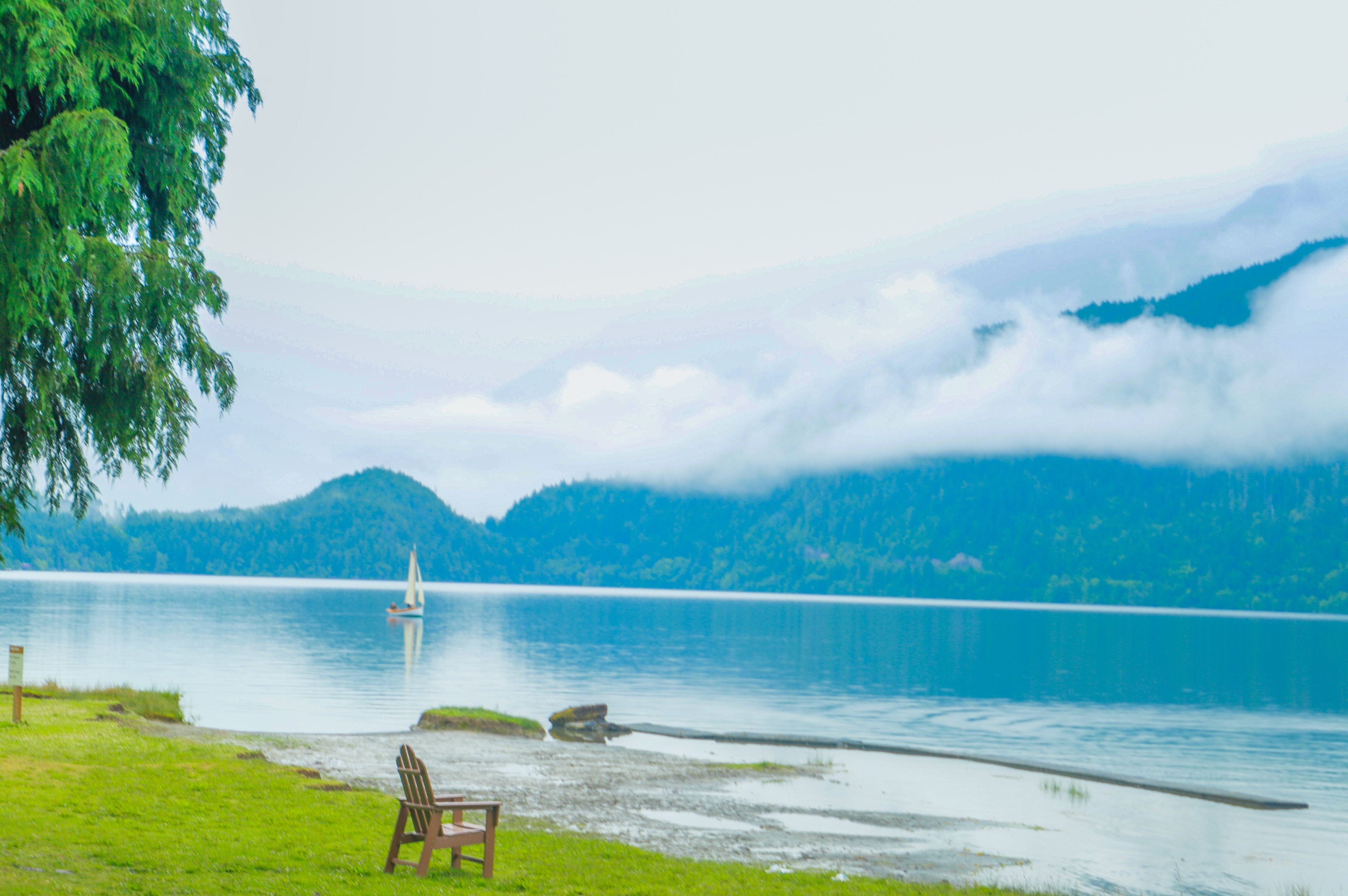 西雅图的“小九寨”，暮光之城取景地，夏天避暑太治愈了