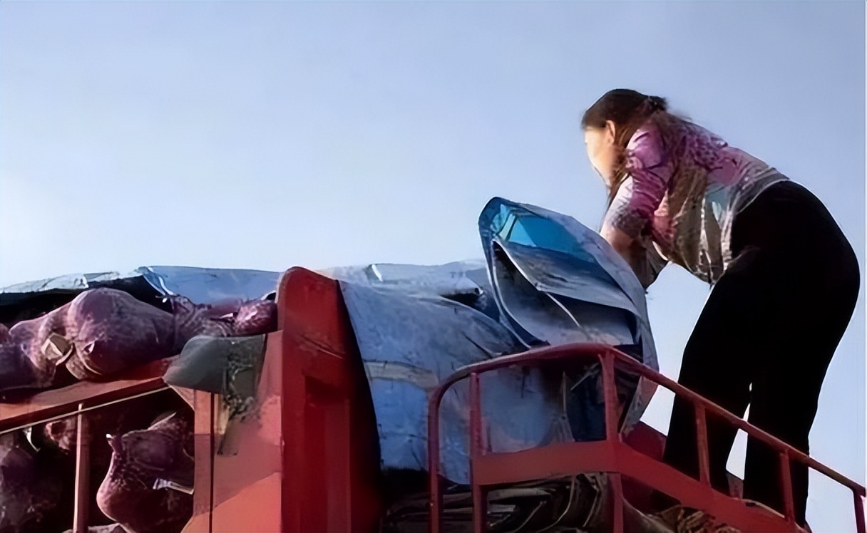 90后卡车夫妻记录卡车生活,1700万卡车夫妻的真实生活