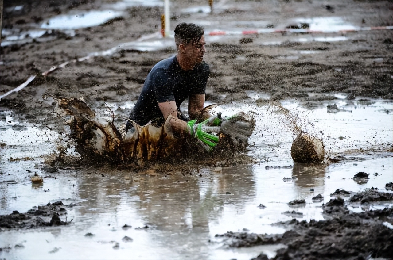 31张活久见的有趣图片,鳄鱼电鳗同归于尽渔翁得利