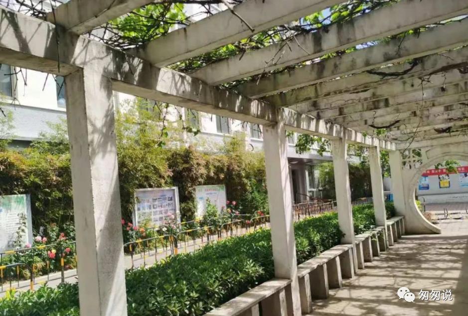 朝阳人大附小学区房,人大朝阳学校学区房