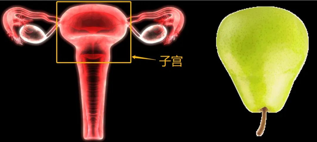 子宫颈糜烂可怕吗,最小多少岁宫颈糜烂