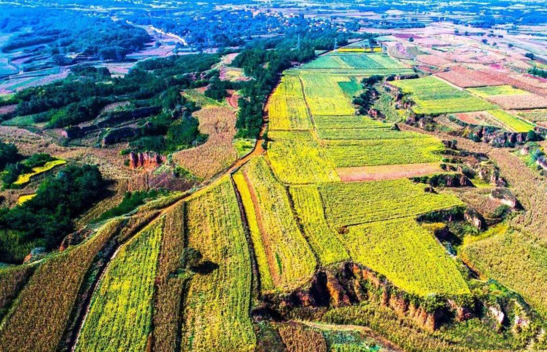 晋味美沁州黄小米怎么样,沁州黄小米哪个品牌最正宗