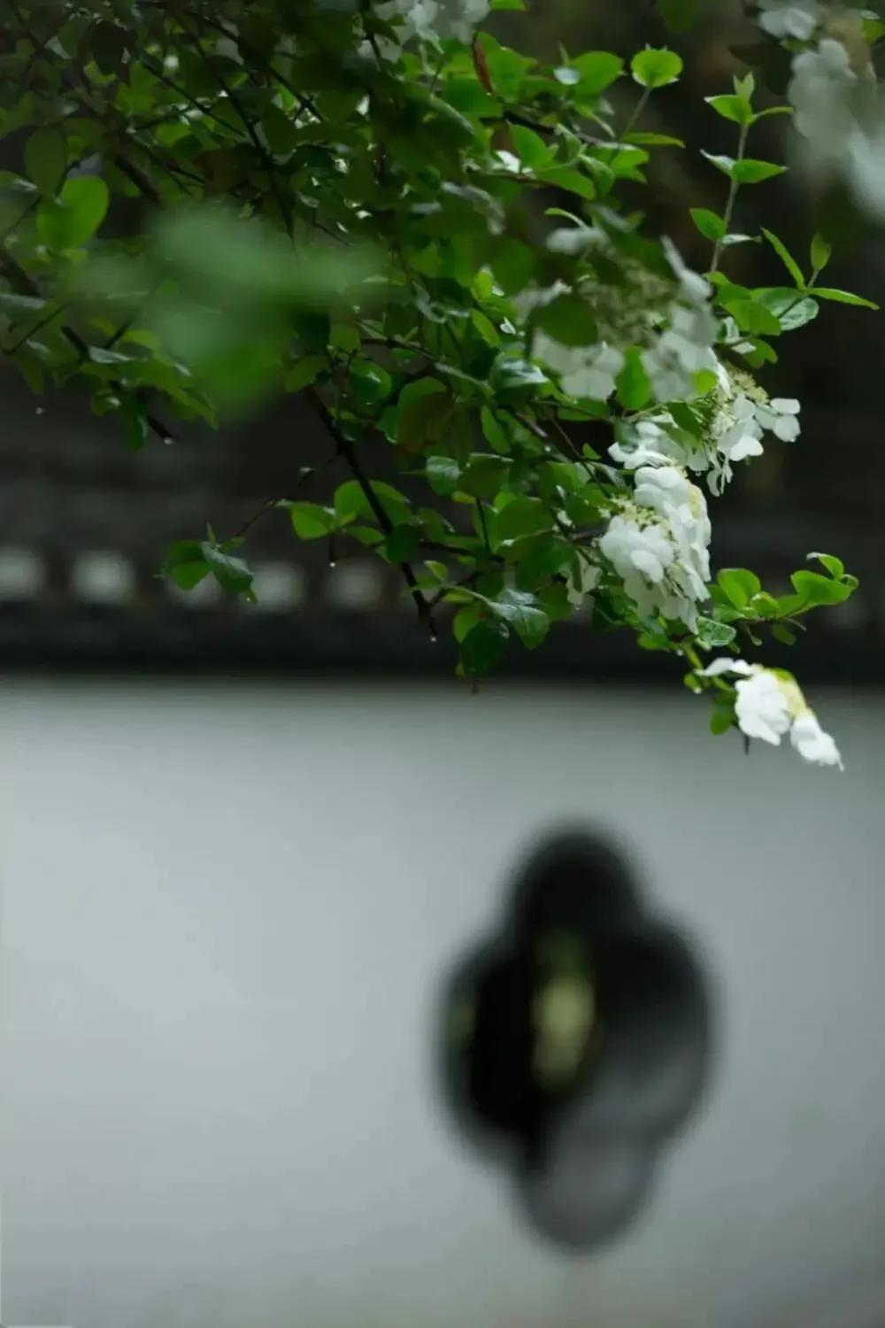 静谧时光历经沧桑,走过半生光阴