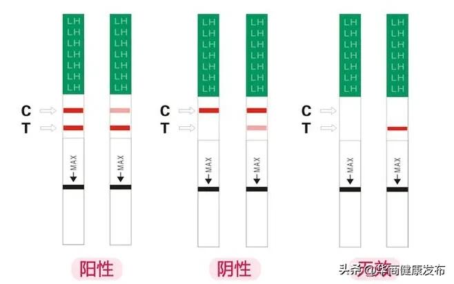 科学怀孕正确方式,怀孕科学知识视频