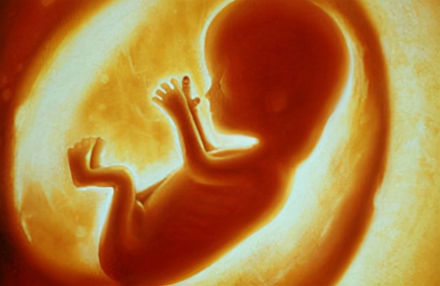 卵子也会偏爱一个男人吗,人类卵子对某些精子情有独钟