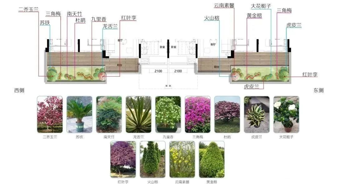 福州四代住房缺点,福州四代住宅