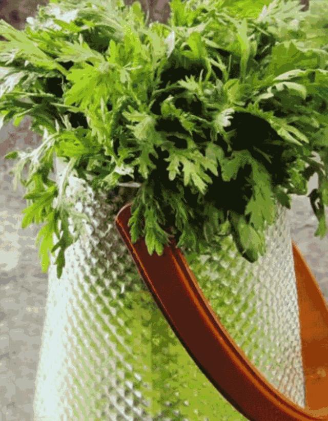 火锅菜品100种摆盘图片大全,火锅摆盘推荐高颜值