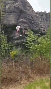 老婆包里发现的药片,老婆包里发现这个药片