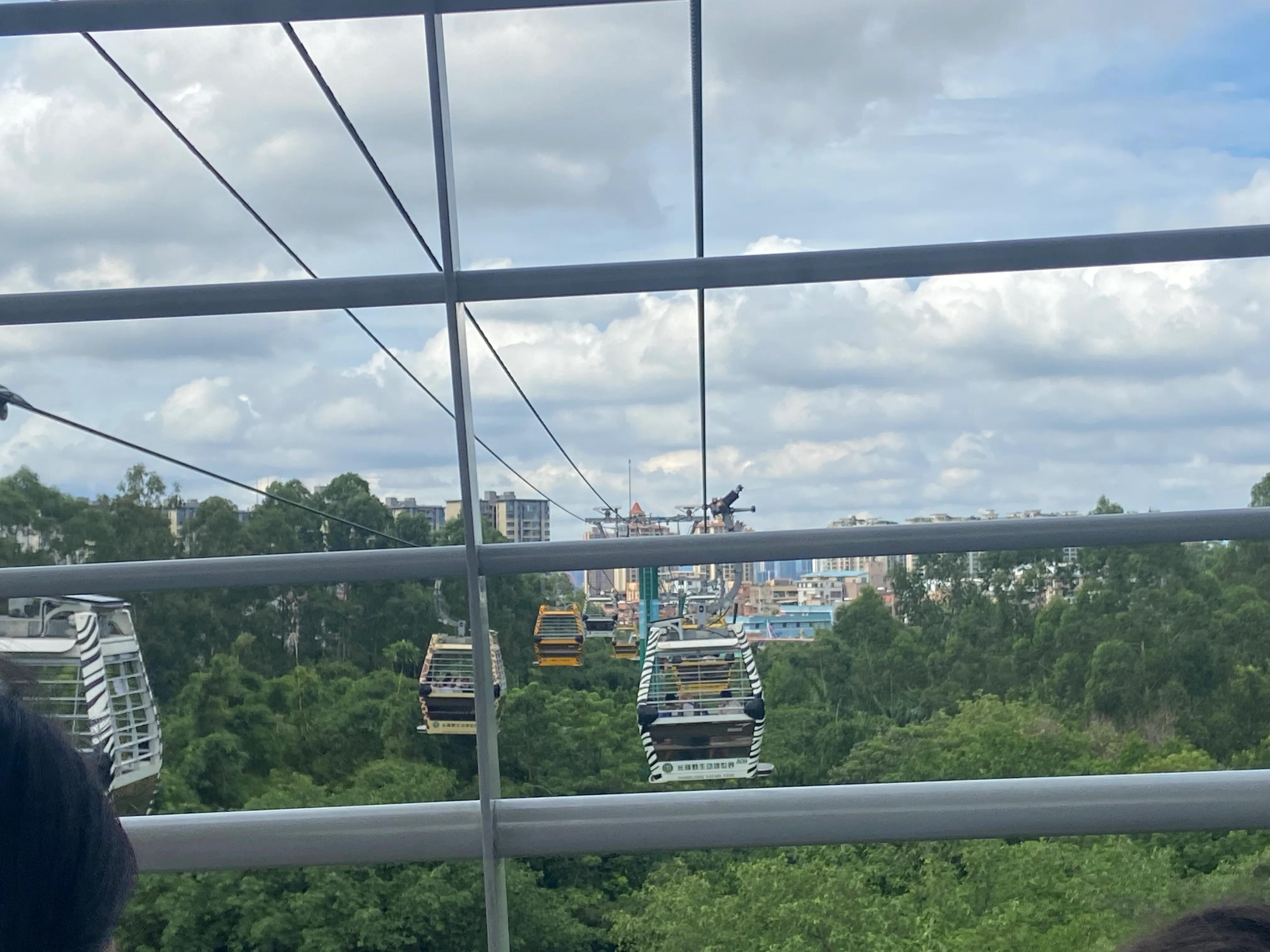 番禺长隆野生动物园旅游攻略,广州长隆野生动物园一日游攻略