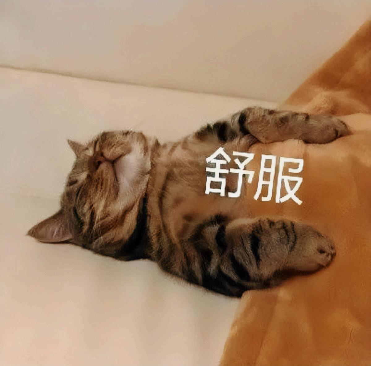 如何做一个乐观快乐的人,变快乐最好的办法