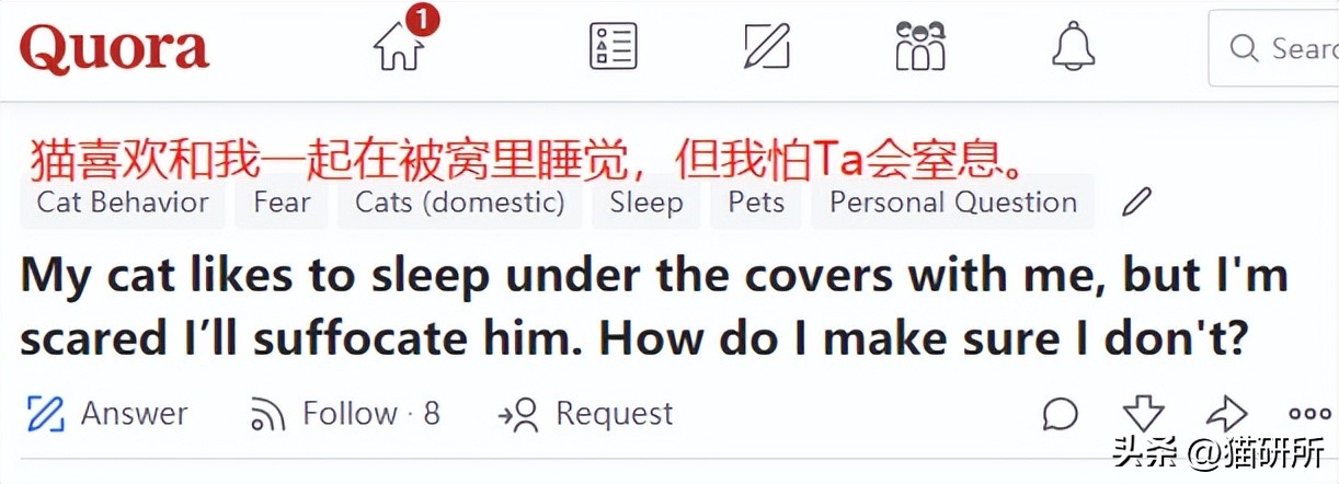 冬天猫咪一直睡觉无精打采,冬天猫咪睡觉会感觉冷吗