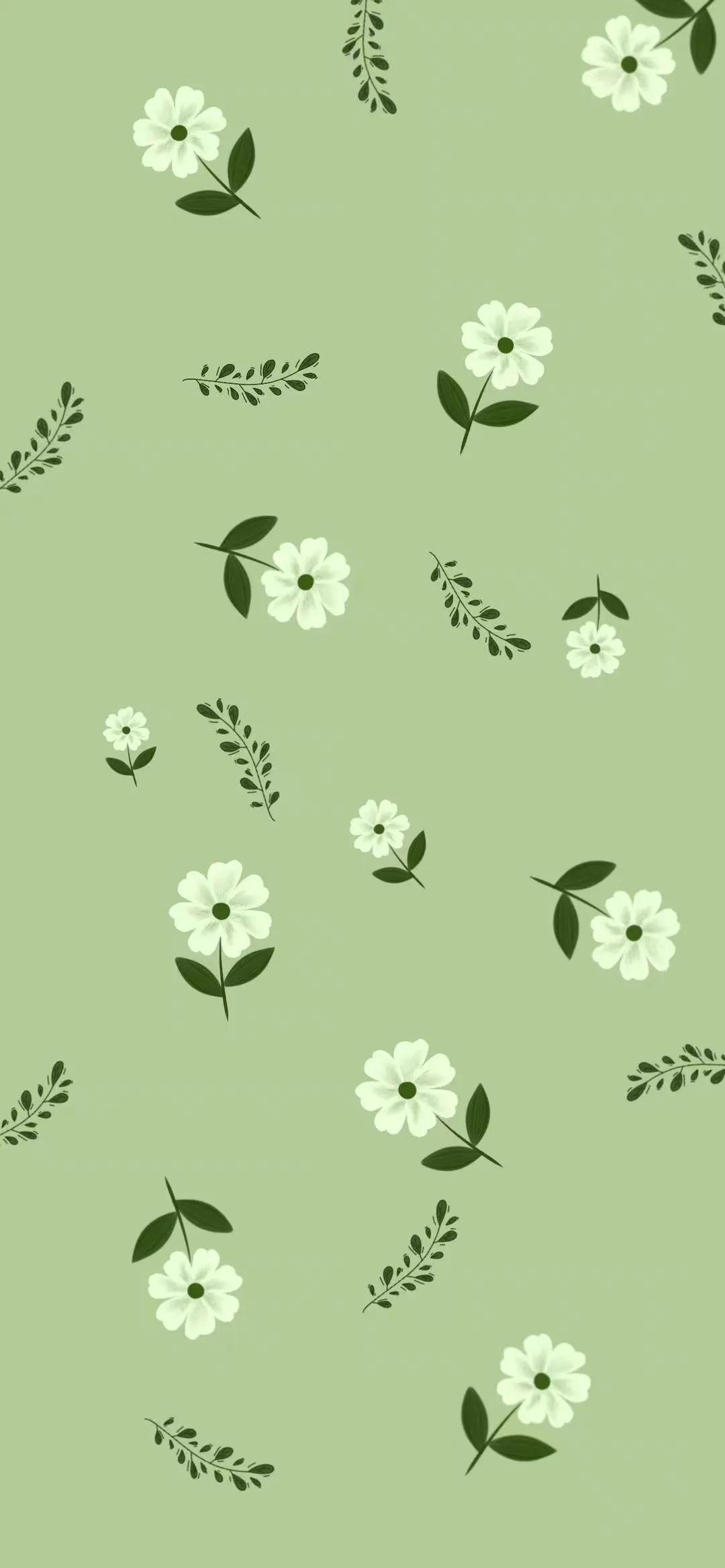 手机壁纸ins风夏日黑白,手机壁纸小清新绿色柠檬