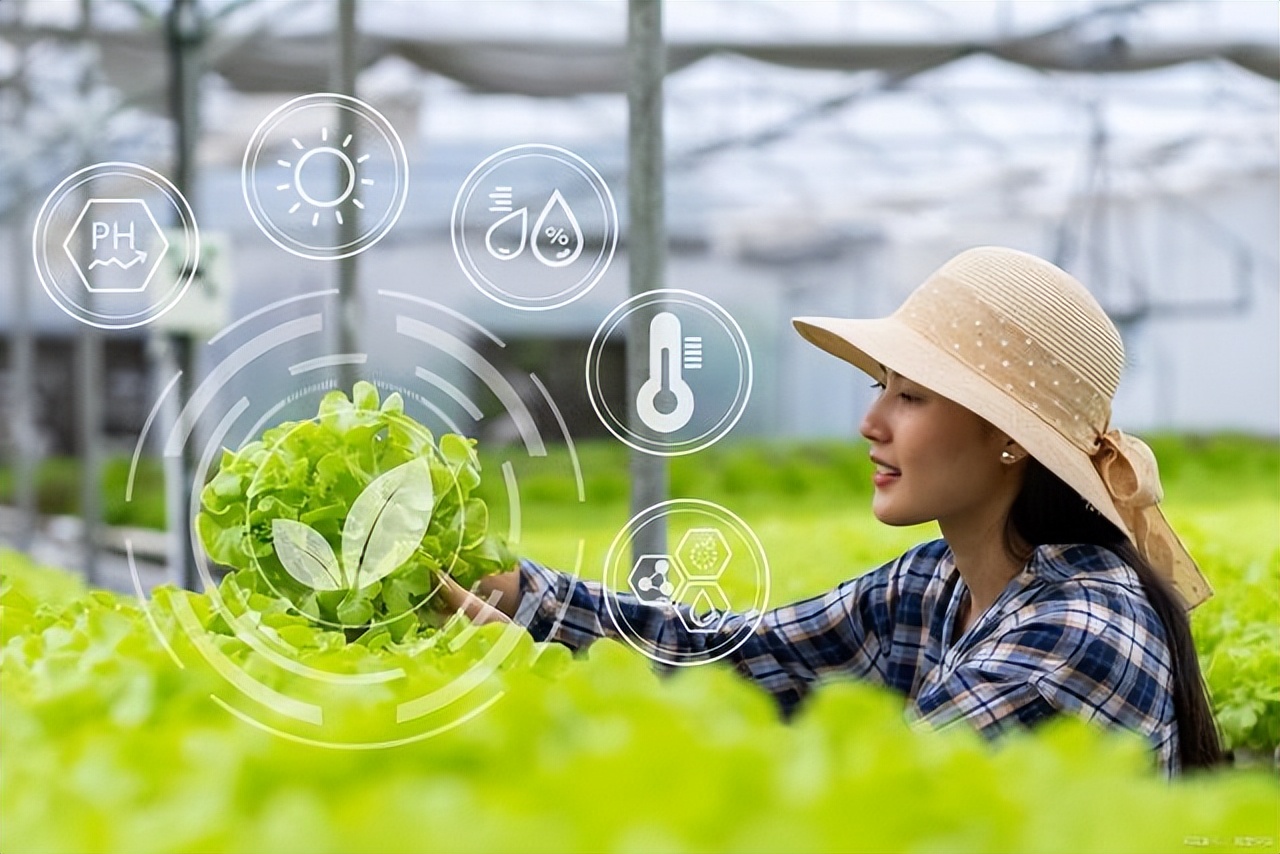 农业认养小程序制作方案,智慧农业认养模式小程序