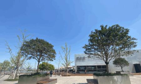 徐汇滨江美食打卡地,徐汇滨江有啥美食