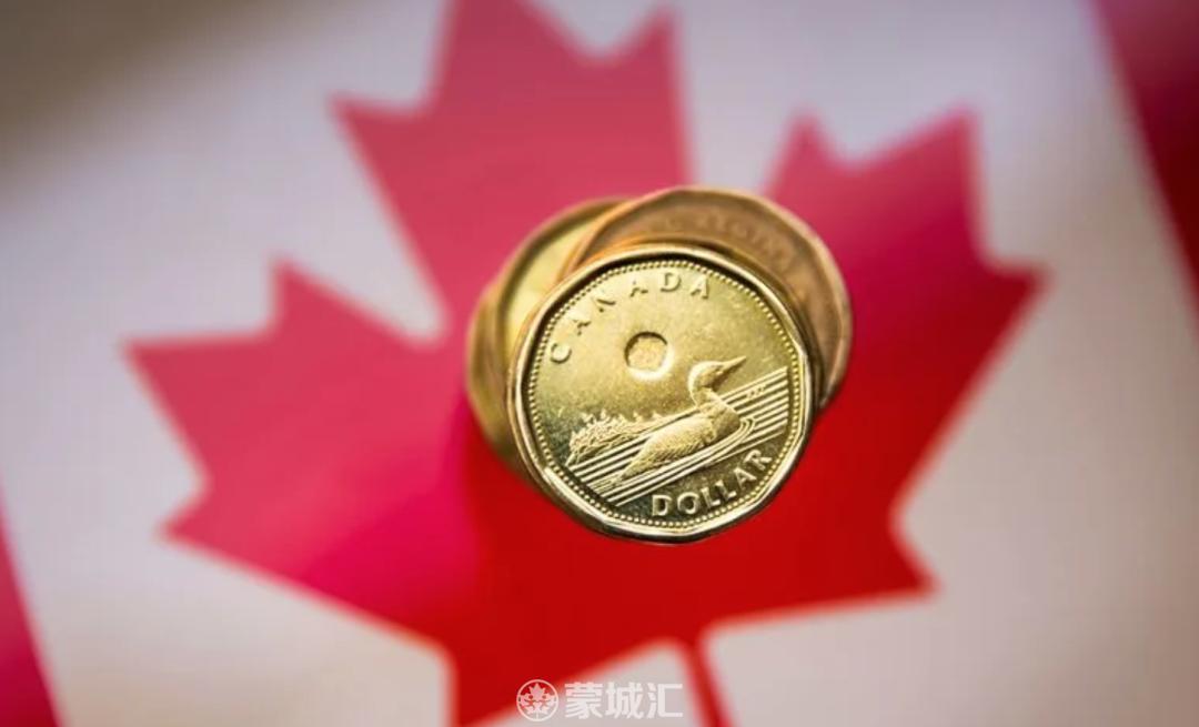 加拿大到底有没有猫腻,在加拿大花钱能有多贵