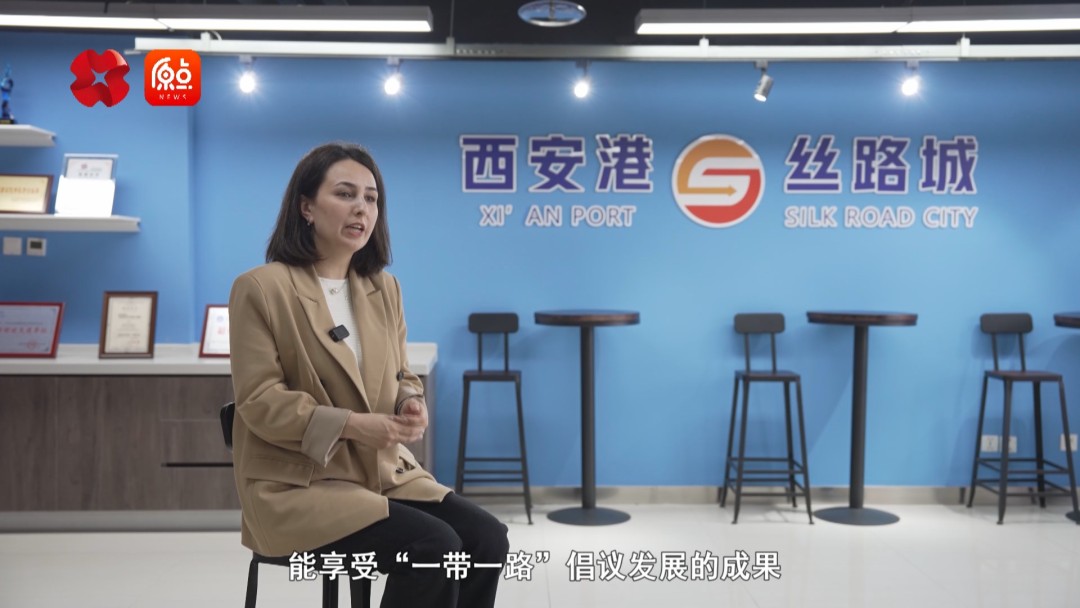 你好我的城西安完整版,你好我的城在线观看