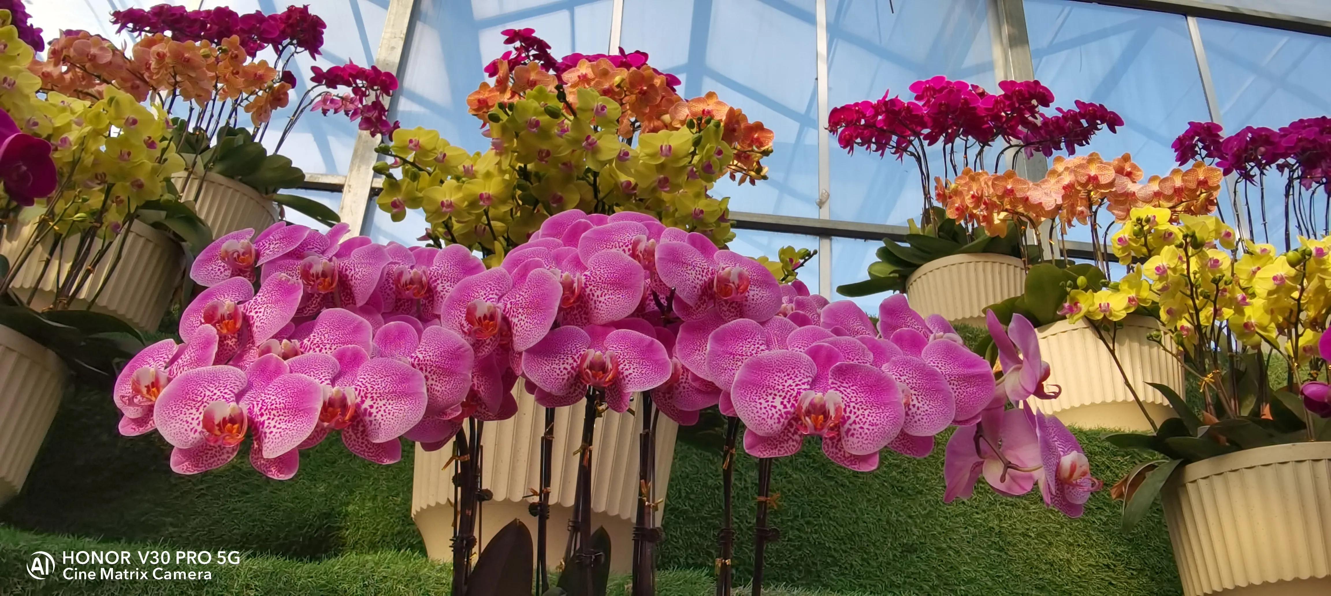 吹牛要交税多少,吹牛要不要交税