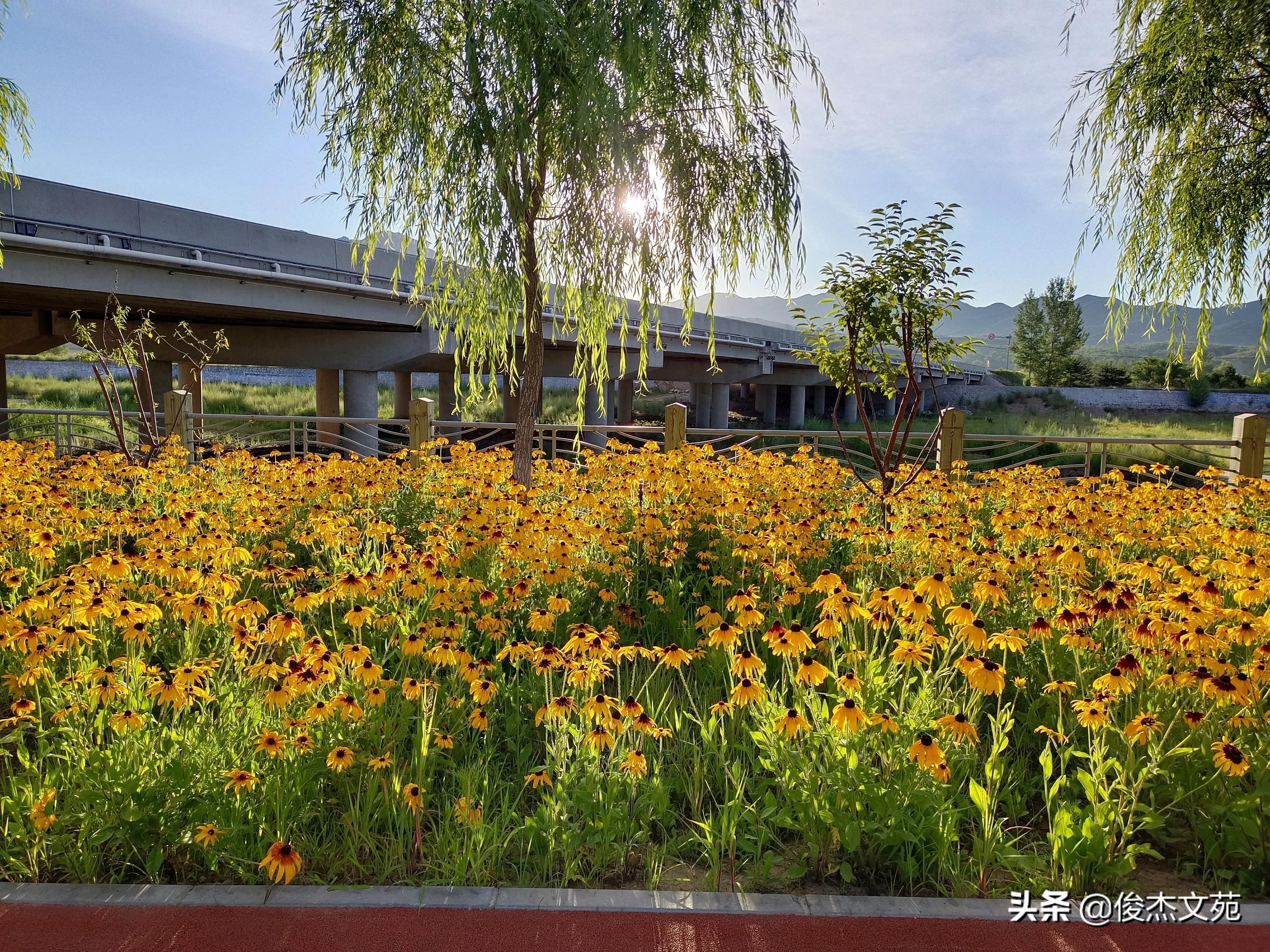 美丽的她,美丽的脚印图片