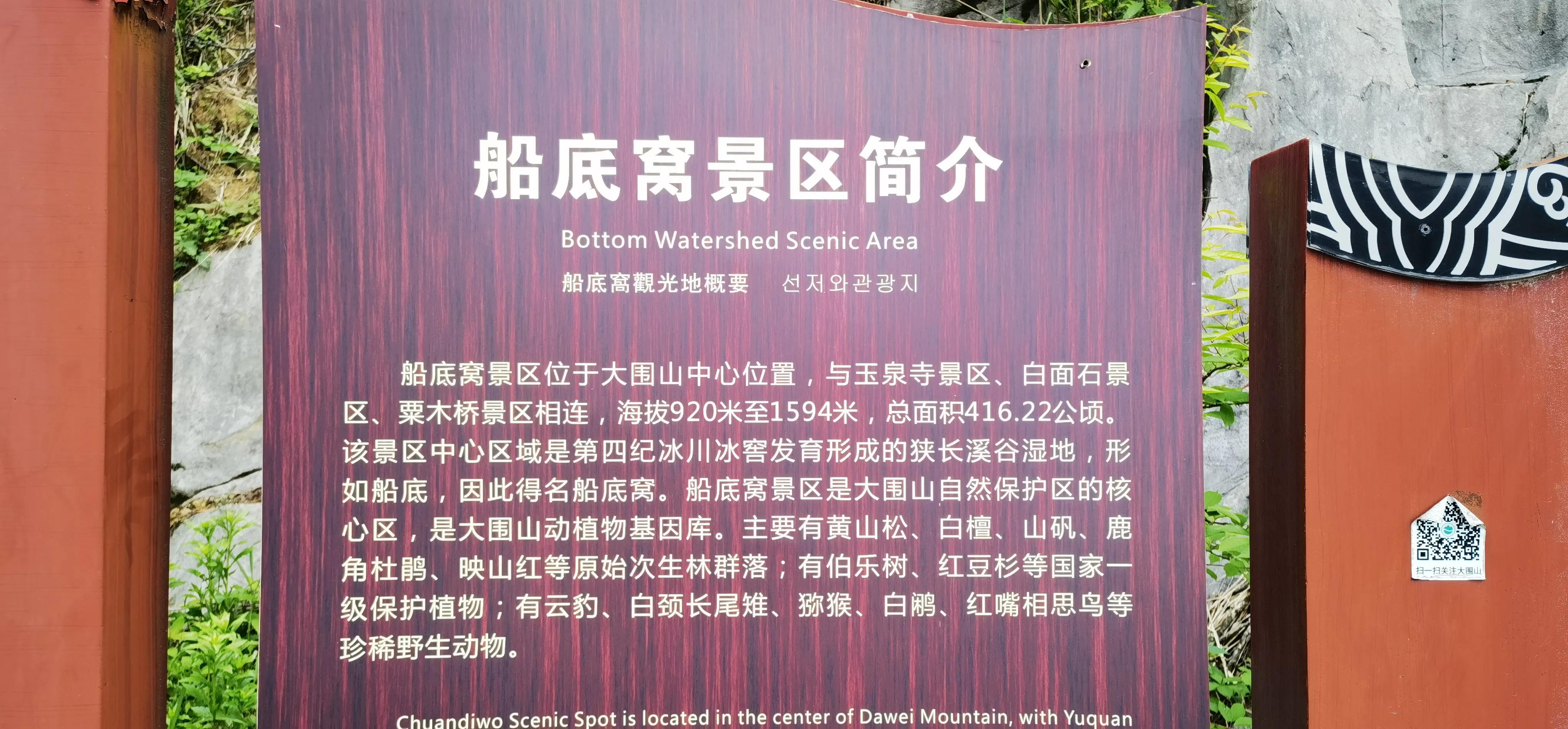 浏阳大围山森林公园浏阳河源头,大围山杜鹃花在哪个景点看