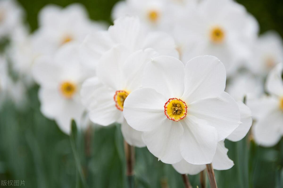 父亲逐渐老去父爱并不如山,父亲只是不善言辞但父爱如山