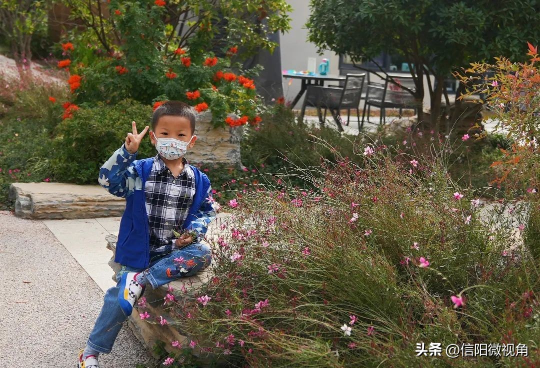 信阳羊山新区东湖风景区,信阳云赏直播间