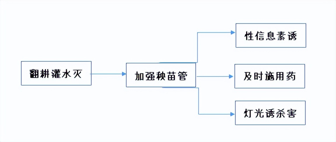 水稻二化螟的最佳防治时期,水稻二化虫害防治方法