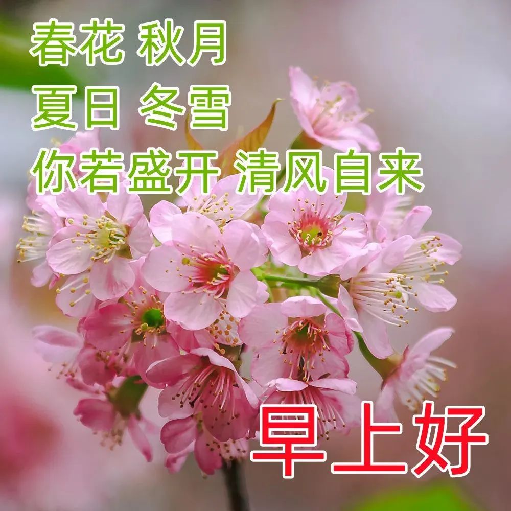 早安问候朋友带字最美图片,4月28日早安问候图片文字