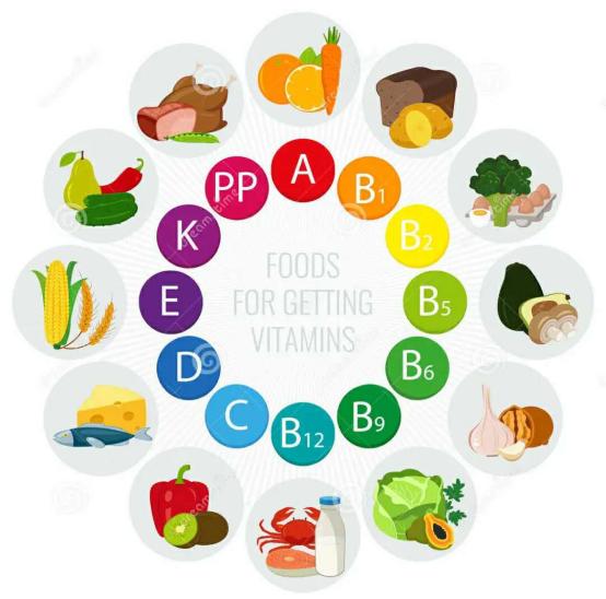 氨基酸维生素矿物质的作用是什么,氨基酸维生素矿物质的作用