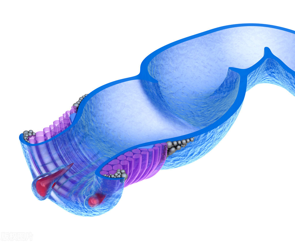 你有“洗肛门”的习惯吗？这样做有什么好处？不妨了解一下