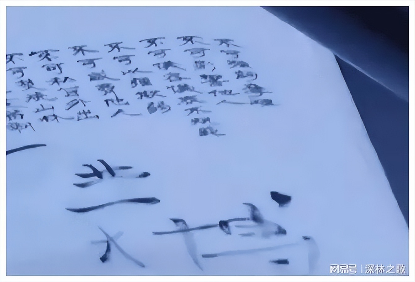 内娱文盲遍地,吐槽内娱文盲