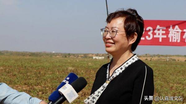 沃滴滴生物液肥在多个玉米、马铃薯大产区创下高产记录