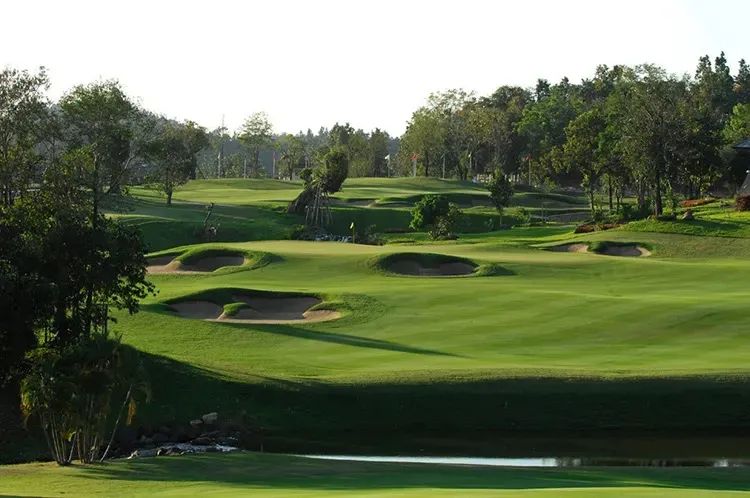 一个橄榄球球场,欧洲最有气氛的球场