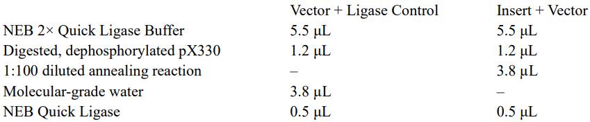 crispr蛋白质,crispr最新成果