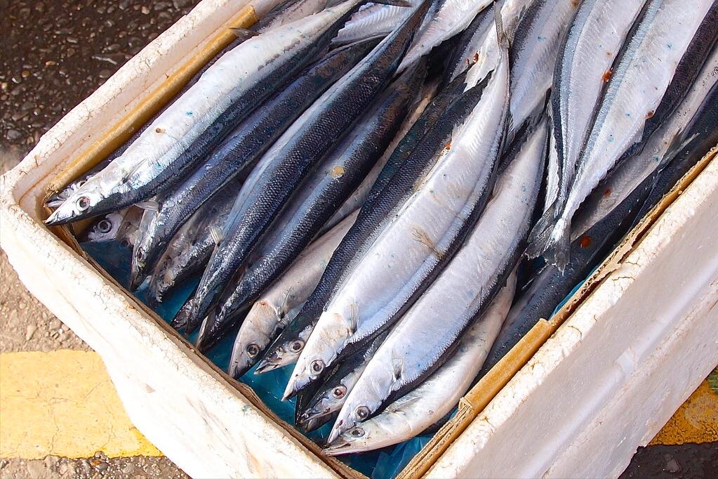 入秋后买海鲜，别忘挑5种“海鱼”，野生海鱼居多，肉质嫩还便宜