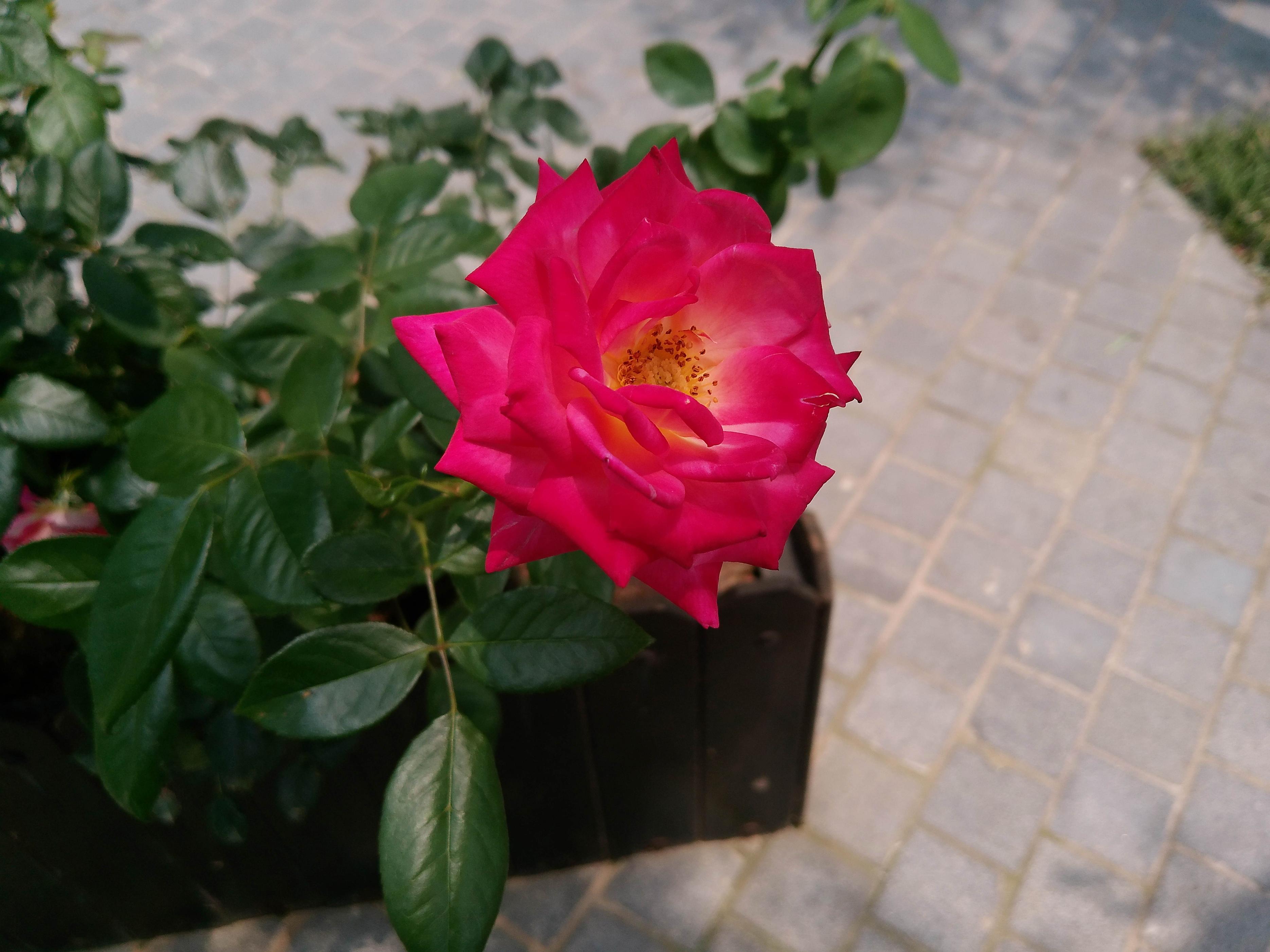 国产5K高清数码相机仅要千元，松典DC201S微单相机实测值得买吗？