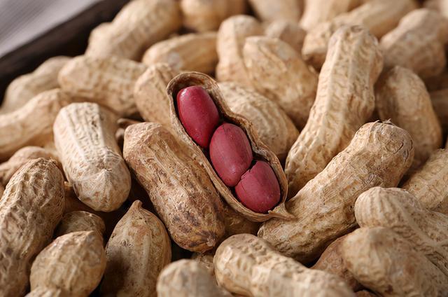 夏季养好胃才能远离胃病,怎样才能保护好胃使胃病不再发作