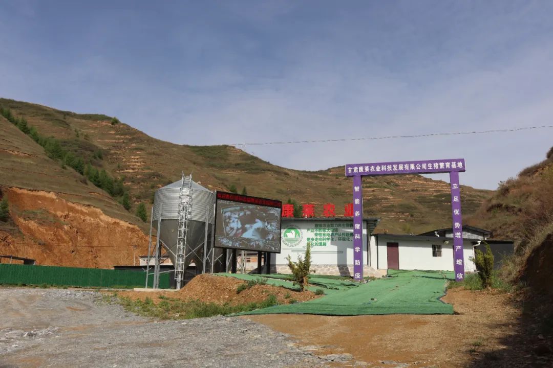 凝神聚力谋发展务实笃行开新局,凝神聚力真抓实干推动高质量发展