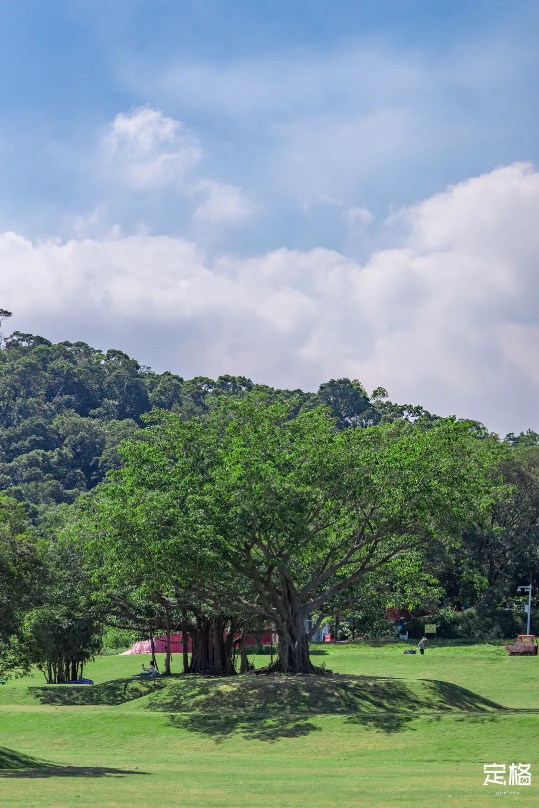 盐田必逛,盐田区必打卡的地方