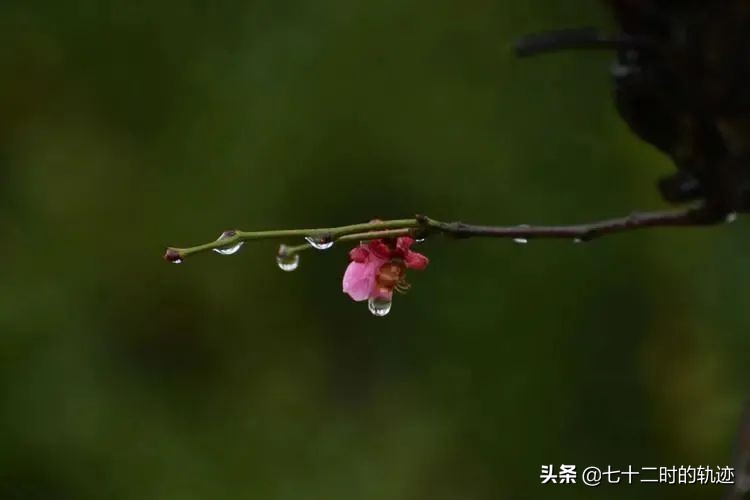 缤纷一色|灯与河川，三月人间