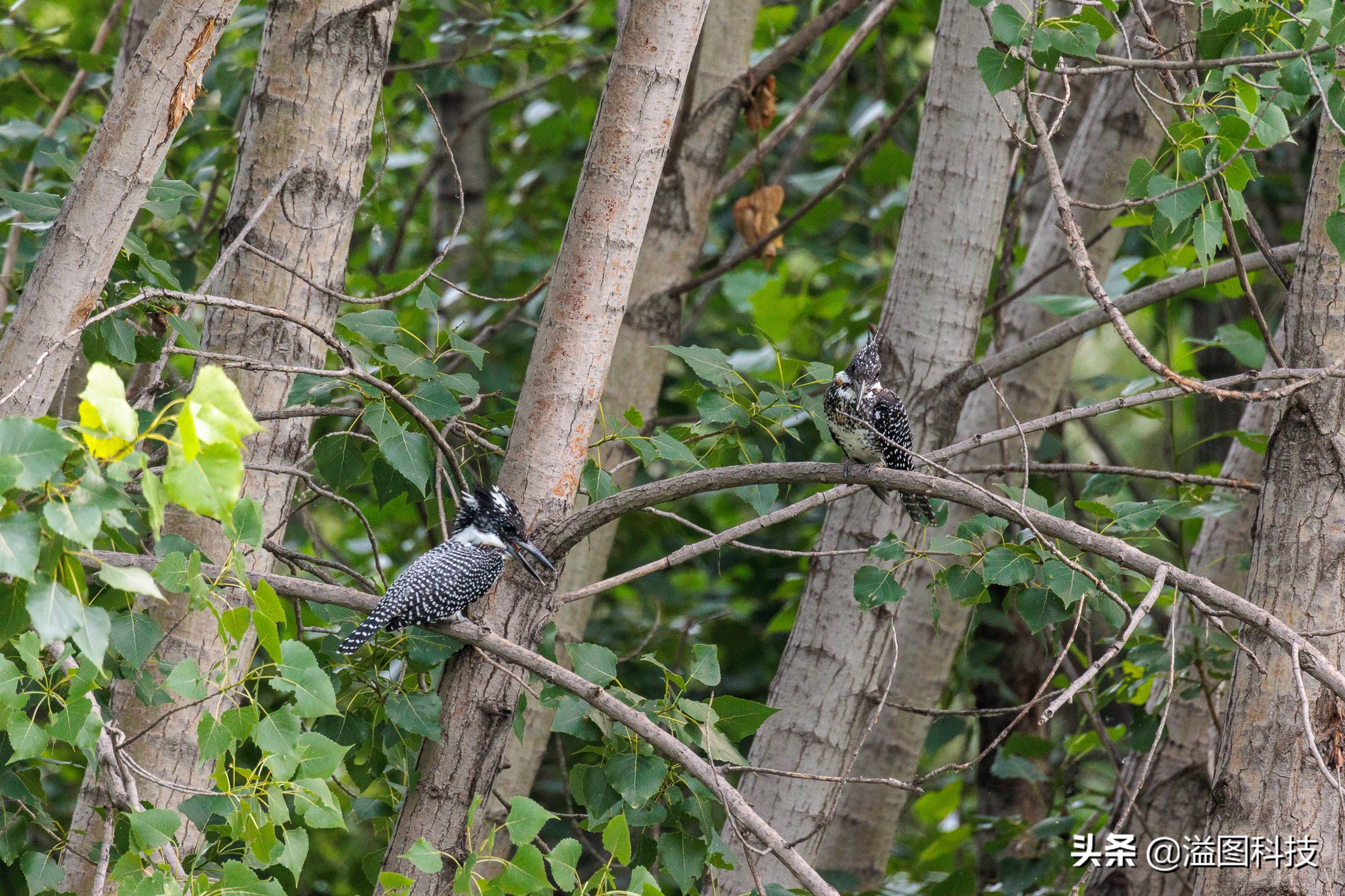 eosr7微单详细测评,佳能r7这款相机真的是值得买吗
