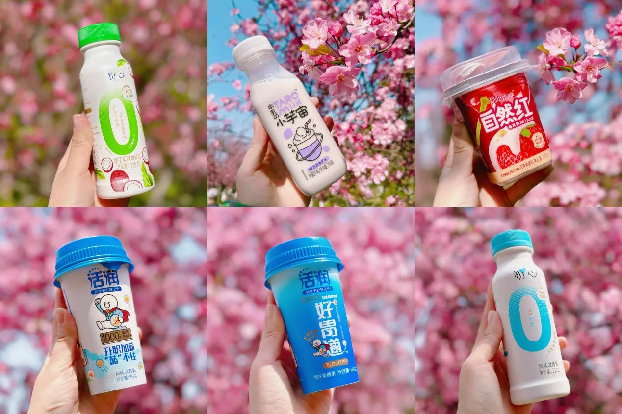 樱花节系列活动,樱花节新意互动