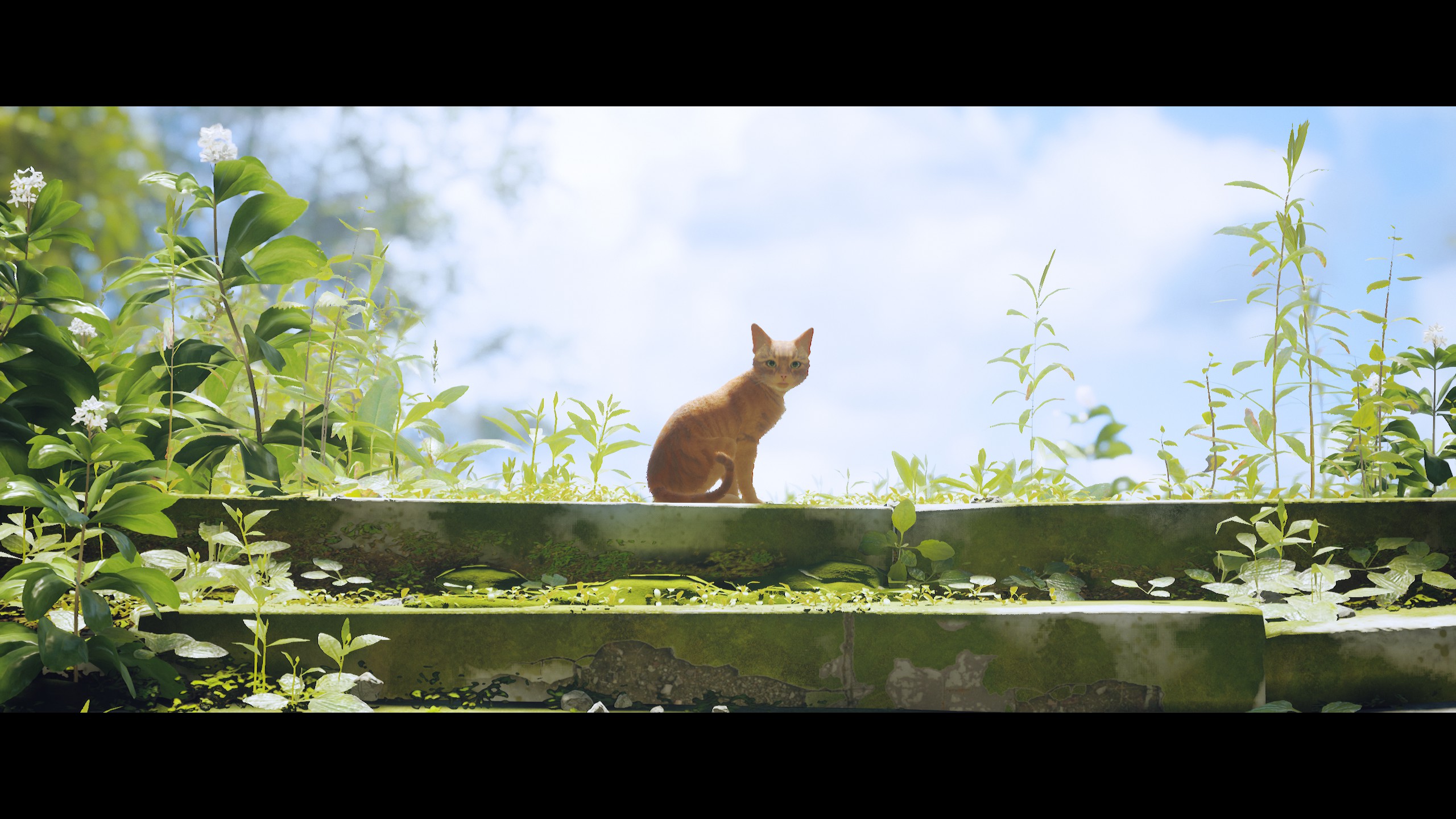 stray新游戏,stray这个游戏怎么样