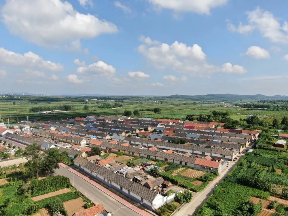 威海哪个村最美,威海十大美景乡村