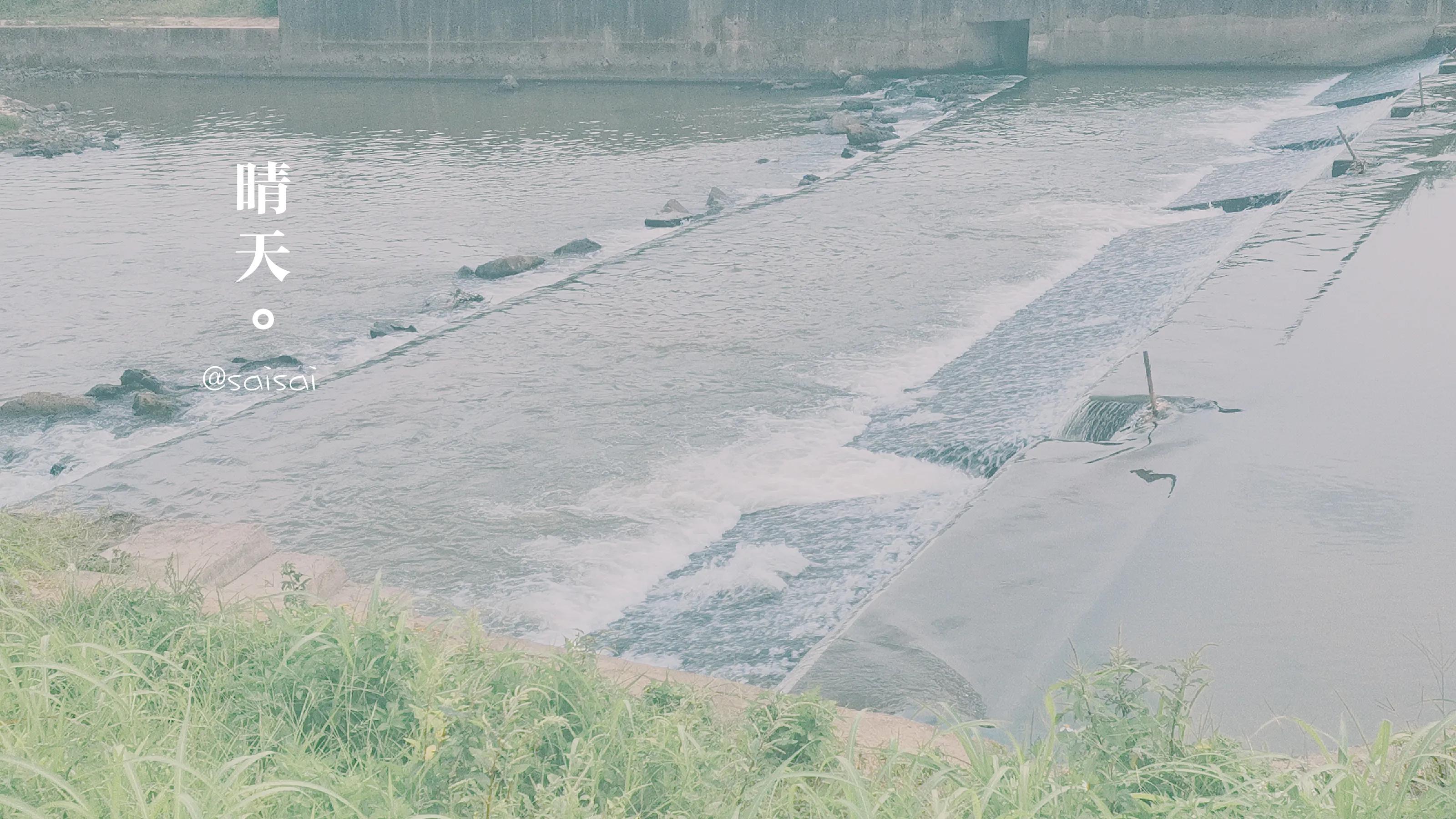十首诗词最懂夏天的美,推荐初夏最美诗词10首