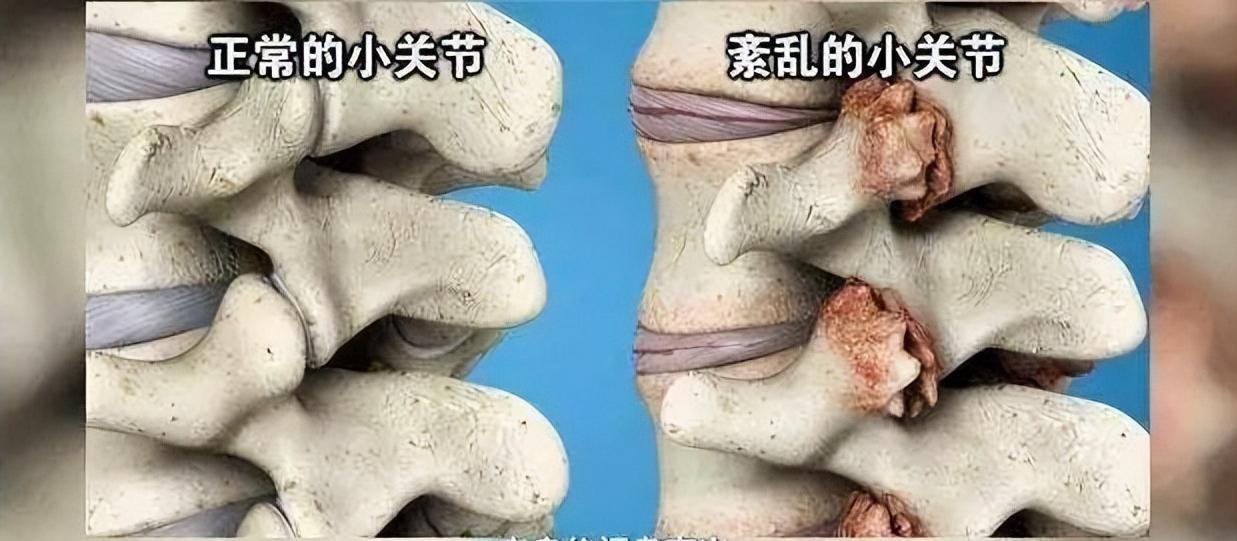 专科护士实践体会,护士扪心自问心得体会