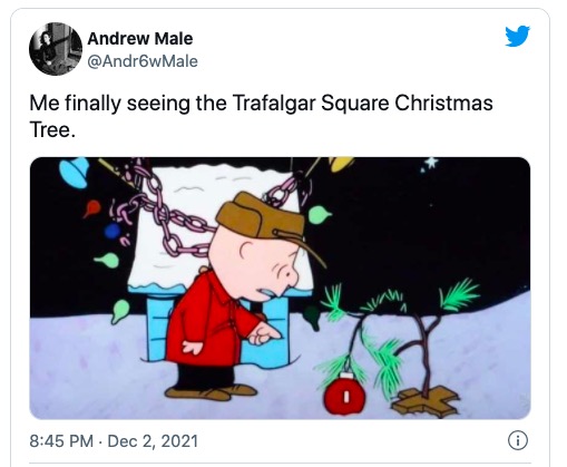 挪威给英国的圣诞树被吐槽,挪威英国圣诞树