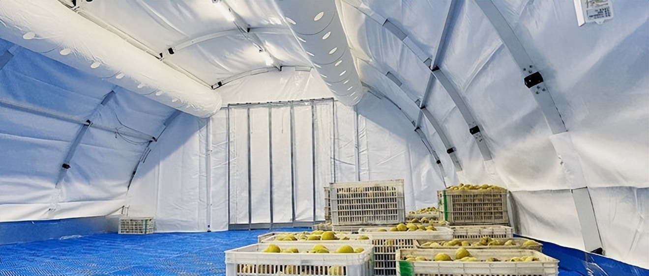 贵阳产地初加工冷链物流项目,农产品冷链物流现状及发展趋势