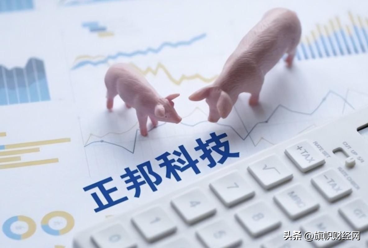 正邦科技养猪模式,养猪大户正邦科技去年预亏超百亿