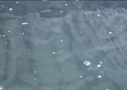 银行副行长辞职赚钱,中国银行副行长辞职