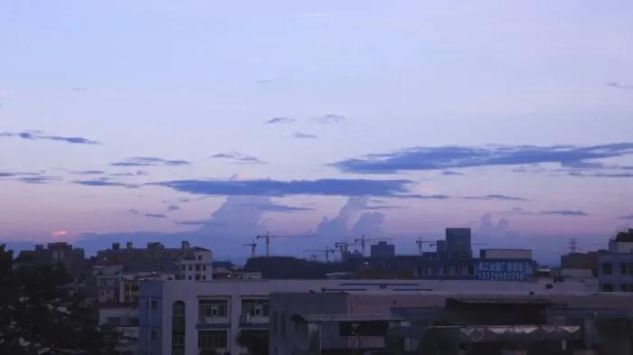 他笑时风华正茂,他笑时风华正茂小说